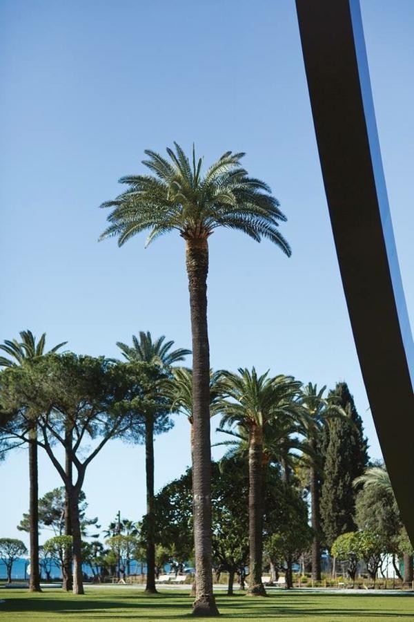 Ross 5- F2, Lumineux, Balcon, Loft, Clim, Vieux-Nice Exteriér fotografie